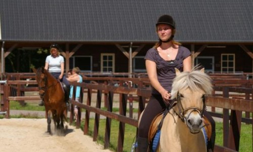 Paardenstal 2..jpg