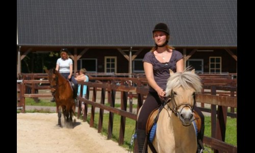 Paardenstal 2..jpg