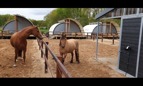 paardenlodge reeenwissel