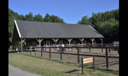 Paardenstal 3..jpg