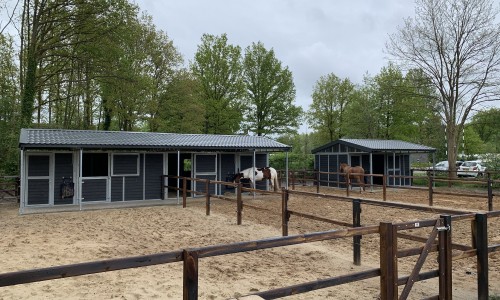 paardenlodge Camping de Reeenwissel Drenthe1