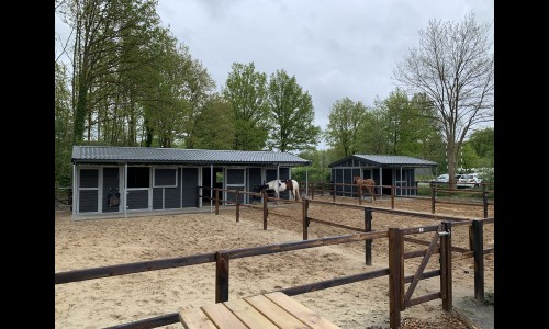paardenlodge reeenwissel