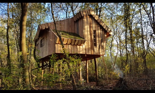 Boomhut_05.jpg