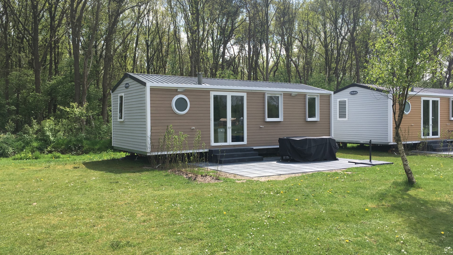 6 Personen Bungalow Holland Camping de Reeenwissel 6 Personen Bungalow Holland Camping de Reeenwissel