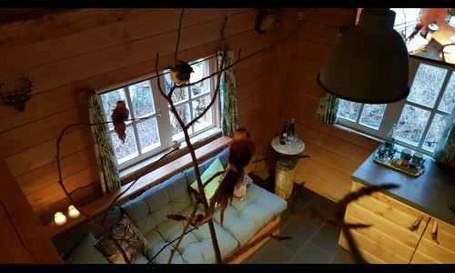 Boomhut_06.jpg