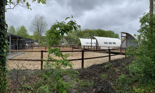 paardenlodge Camping de Reeenwissel Drenthe6