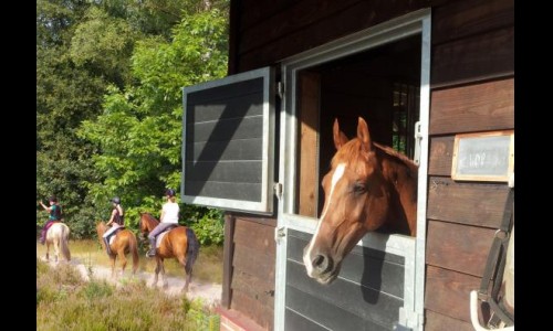 Paardenstal 4..jpg