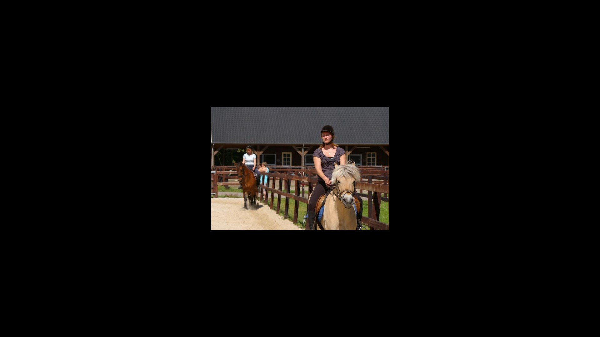 Paardenstal 2..jpg
