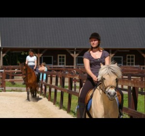 Paardenstal 2..jpg