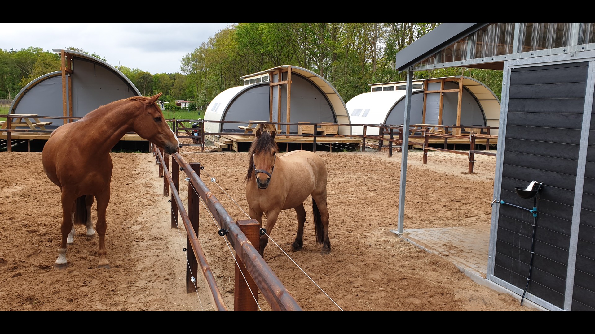 paardenlodge reeenwissel