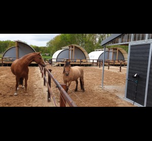 paardenlodge reeenwissel