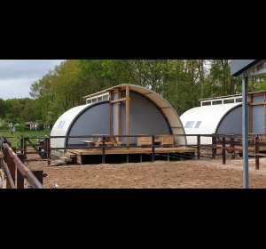 Paardenlodge reeenwissel
