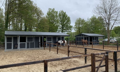 paardenlodge reeenwissel