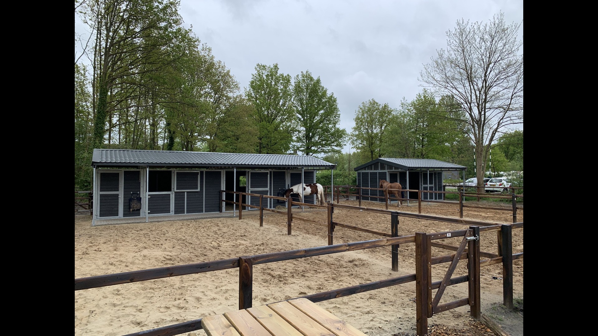 paardenlodge reeenwissel