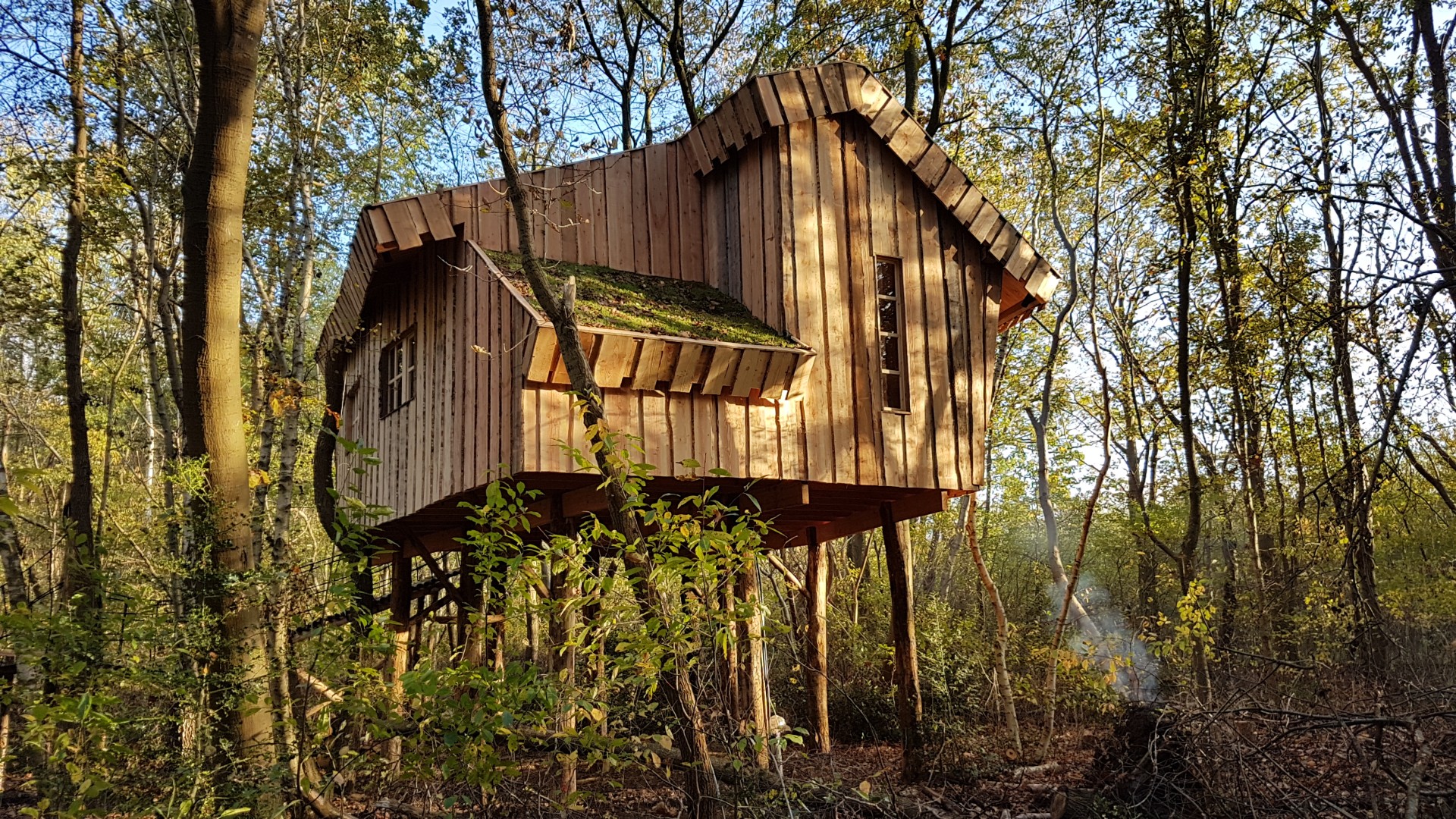 Boomhut_05.jpg