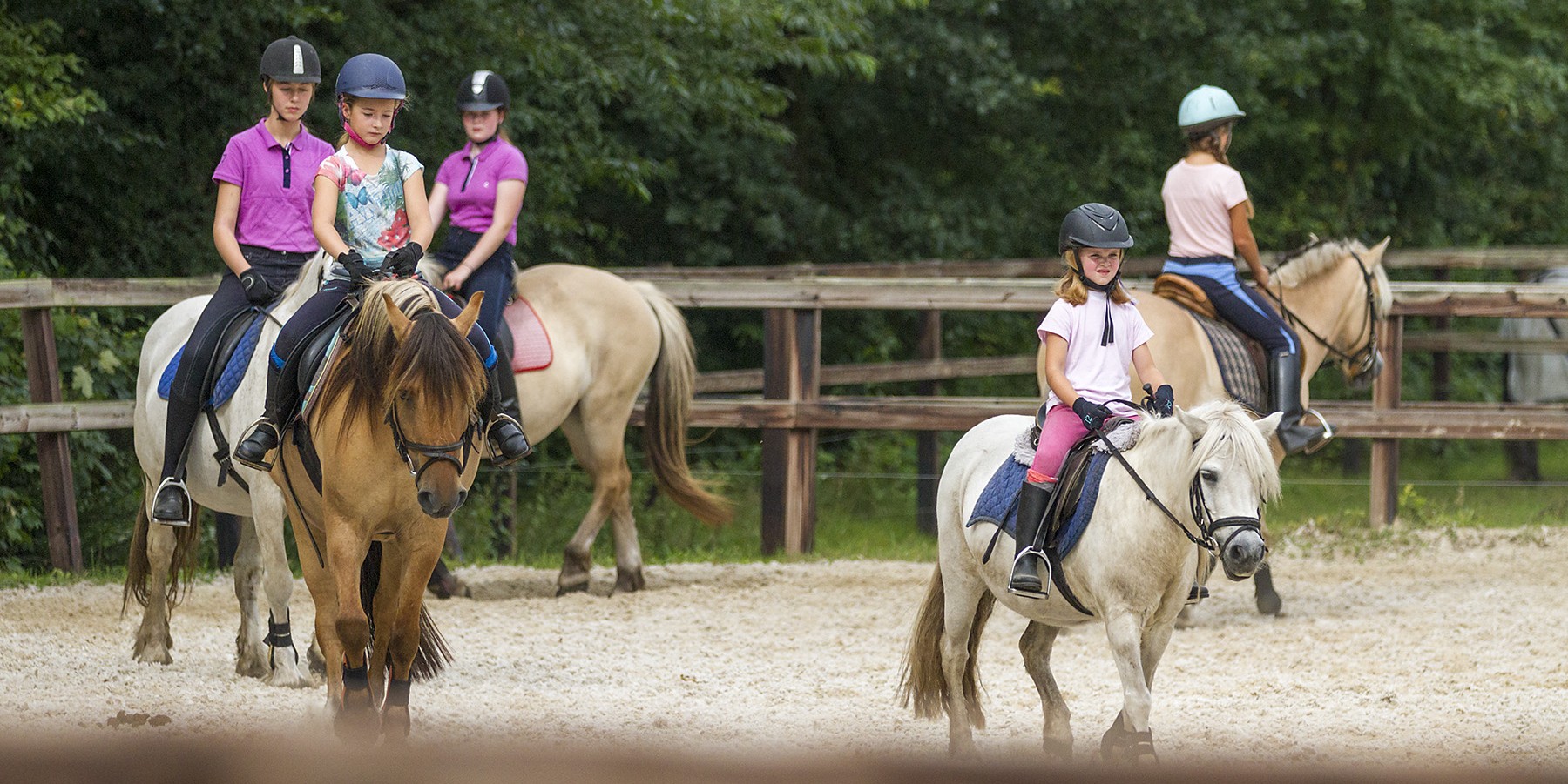 lessen camping de - Camping de Reeenwissel