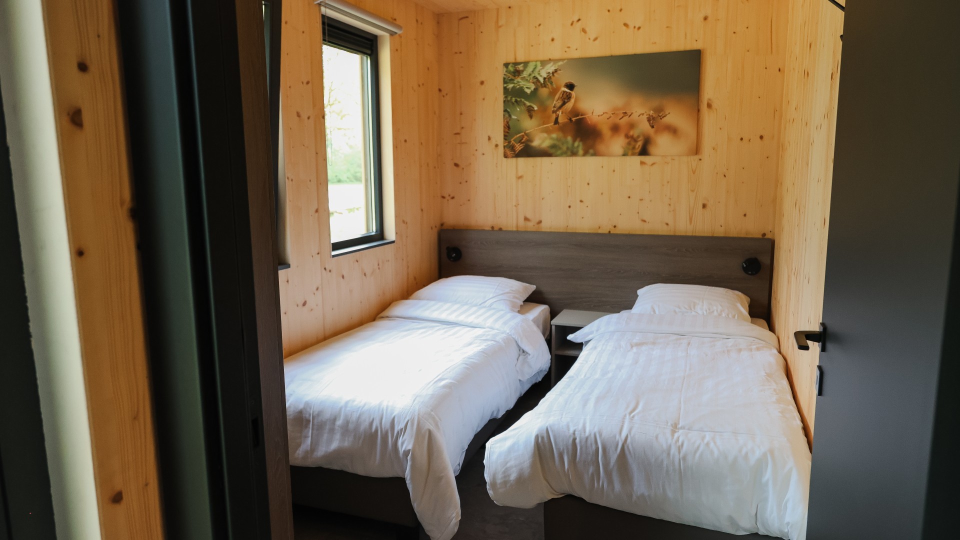 't Groote veen (4).jpg