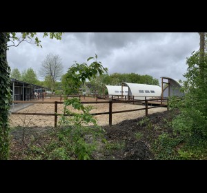 paardenlodge reeenwissel