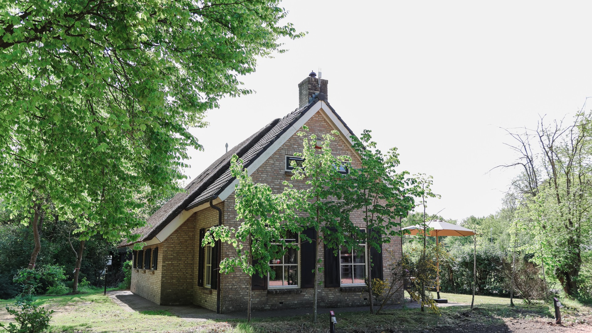 Landhuisje op camping de reeenwissel6.jpg