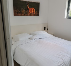 Dieverzand op Camping de Reeenwissel (5).jpg
